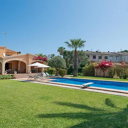 Mulholland فيلة *